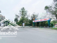 48 Tỷ - Sở Hữu Nhà Mặt Tiền Đường Số Kđt An Phú An Khánh - 10X20M - Hầm 4 Tầng - Cho Thuê 80 Triệu/Th