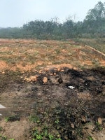 Bán Đất Tt Thắng, Hiệp Hoà, Bg 100M2, Mt5M, Ôtô Tránh, Cách Tl295 Hơn 100M, Chỉ 1.45 Tỷ