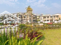 Cần Bán Nhanh Căn Liền Kề 80M2 Belhomes Hải Phòng. Gần Công Viên, Clubhouse, Giá Cực Kì Thiện Chí.