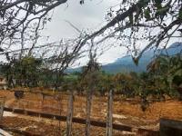 Nghỉ Dưỡng Yên Bài - Ba Vì - Hà Nội, Tài Chính Chỉ Vài Triệu/M2. Liên Hệ: 0988908583