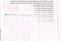 Cần Bán Lô Đất Mặt Đường Kinh Doanh Đường Hải Thượng Lãn Ông Phường Hà Huy Tập Thành Phố Vinh