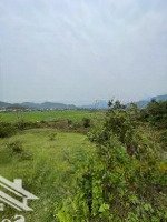 Siêu Rẻ Tại Tiến Xuân, Thạch Thất, Đất Thổ Cư Mặt Tiền 40M, Giá Chỉ 6 Triệu/M2,Diện Tích1750M2