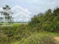Siêu Rẻ Tại Tiến Xuân, Thạch Thất, Đất Thổ Cư Mặt Tiền 40M, Giá Chỉ 6 Triệu/M2,Diện Tích1750M2
