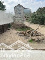 Bán Đất Phường Ninh Xá Thuận Thành Bắc Ninhdiện Tích98Mmặt Tiền5M Ngõ Ôtô Dân Cư Đông Đúc Ngõ Nông Gần Kcn