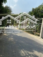 Chủ Ngộp 100M2 Tại Lã Xuân Oai, Long Trường, Quận 9, Hcm, Đường Rộng 7M, Cạnh Kdc