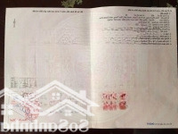 Đất Vĩnh Thạnh Siêu Rẻ Nhất Thị Trường Chỉ 978 Triệu
