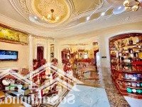 Cần Tiền Kinh Doanh Nhượng Lại Biệt Thự Tâm Huyết Đường Lam Sơn, Quận Bình Thạnh. Giá Bán 40 Tỷ