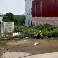 Cần tiền bán nhanh lô đất hơn 500m2 sử dụng Xã Ba Trại, Ba Vì, Hà Nội, giá đầu tư