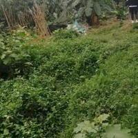 Cần tiền bán nhanh lô đất hơn 500m2 sử dụng Xã Ba Trại, Ba Vì, Hà Nội, giá đầu tư