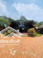 Chính Chủ Cần Bán Khuôn Viên Nghỉ Dưỡng Diện Tích 3638M2 Thổ Cư 400M2 Tại Vân Hòa, Ba Vì, Hà Nội