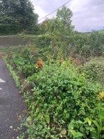 Cần Bán Mảnh Đất Hòa Lạc Quốc Oai 220M2Mặt Tiền11M Lô Góc Đẹp 2 Mặt Tiền Ô Tô Tránh Giá Đầu Tư 3 Tỷ