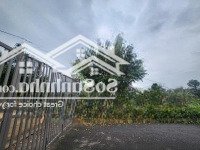 Cần Bán Mảnh Đất Hòa Lạc Quốc Oai 220M2Mặt Tiền11M Lô Góc Đẹp 2 Mặt Tiền Ô Tô Tránh Giá Đầu Tư 3 Tỷ