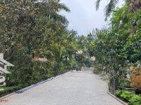 Hiếm Biệt Thự Việt Hưng Cạnh Sân Tennis 200M2 4 Tầng Chỉ 40 Tỷ
