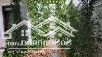 Gấp! Biệt Thự Song Lập Hải Âu 152M2 Cạnh Công Viên Hoàn Thiện Full Cho Thuê 30 Triệu Vinhomes Gia Lâm