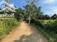 Bán Đất Tại Xóm Ong, Nam Phong, Cao Phong, Hòa Bình, Giá Tốt 1,68 Tỷ, 1358.3M2