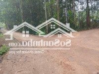 Chính Chủ Bán Gấp Đất Đẹp Giá Rẻ Có Sổ Sẵn
Lô 409 Tại Thôn Lạc Long, Xã Cẩm Phú, Cẩm Thủy