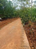 Chính Chủ Bán Gấp Đất Đẹp Giá Rẻ Có Sổ Sẵn
Lô 409 Tại Thôn Lạc Long, Xã Cẩm Phú, Cẩm Thủy