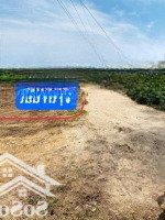 Bán 2 Lô Đất Liền Kề Có Thể Hiện Đường Trên Sổ, Giá Thỏa Thuận, 2512 M2 (2 Lô Liền Kề)