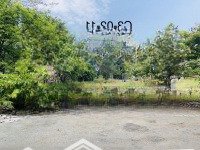 Bán Đất Nền Biệt Thự Cát Lái, Mặt Tiền View Công Viên,Diện Tích11,63X20M