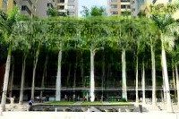 Chính Chủ Cần Cho Thuê Căn Hộ Mullberry Land 114M2