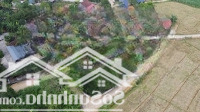 Chính Chủ Bán Đất 504M2 Tại Vân Hòa, Ba Vì, Hà Nội, Đẹp Xuất Sắc, Giá Cực Chất 4,2 Tỷ (Siêu Vip)