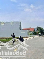 - Bán Đất Mặt Đường 407 Cẩm Hoàn Thanh Sơn - Đấu Giá Vườn Cam