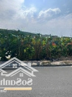 - Bán Đất Mặt Đường 407 Cẩm Hoàn Thanh Sơn - Đấu Giá Vườn Cam