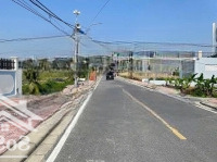 - Bán Đất Mặt Đường 407 Cẩm Hoàn Thanh Sơn - Đấu Giá Vườn Cam