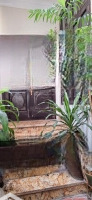 Bán Gấp Mặt Phố Đông Quan, Cầu Giấy, Hà Nội, Lô Góc, Ô Tô Tránh, Kinh Doanh, 82M2, 3 Tầng,Mặt Tiền8.5M