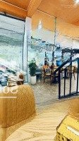 Bán Siêu Biệt Thự Lô Góc Lưu Hữu Phước - Nam Từ Liêmdiện Tích122/130M - 4 Tầng -Mặt Tiền22M - Giá Bán 64 Tỷ
