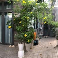 Bán NHÀ 1 TRỆT 1 LẦU P Tam Hiệp, Biên Hòa, Đồng Nai 133M2