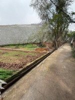 Bán Đất Thuỵ Hương Chương Mỹ, 1,85 Tỷ, 48M2, Pháp Lý Đầy Đủ, Liên Hệ: 0989462485