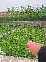 Chính Chủ Bán Đất Tại Thư Dương, Thư Phú, Thường Tín. Diện Tích: 64M2Mặt Tiền= Mh = 5M