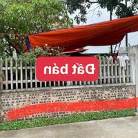 HÀNG FO MỚI TINH  Đông Lai- Quang Tiến- Sóc Sơn- HN: - Diện tích 81m và 85m