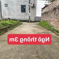 HÀNG FO MỚI TINH  Đông Lai- Quang Tiến- Sóc Sơn- HN: - Diện tích 81m và 85m