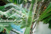N.ợ Bank Bán Villa Phía Biển An Bàng 7 Phòng Ngủ 230M2 Đi Bộ Là Ra Biển