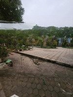 Bán Đất Dịch Vụ La Dương 50M2 Giá Bán 12,5 Tỷ
