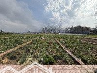 Chính Chủ Cần Tiền Gấp Nên Bán Lô Đất Gần Biển Tại Giao Phong, Diện Tích 98M2 Chỉ Từ 12 Triệu/M2.