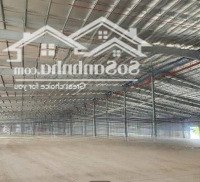 Bán Và Cho Thuê Xưởng Kcn Tân Phú Trung . .Tp Hcm Giá Tốt . Bàn Giao Ngay