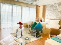 Homestay Hđt 450 Triệu/Tháng Chỉ 46 Tỷ Tại Đường Lê Trọng Tấn, Tân Sơn Nhì, Tân Phú, Hồ Chí Minh