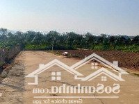 Đất Vườn Giá Rẻ Đồng Nai, Chỉ 890 Triệu Sở Hữu 1000M2. Sổ Hồng Riêng, Ngân Hàng Có Hỗ Trợ Vay Hơn 50%