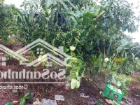 Chỉ 860 Triệu Sở Hữu Ngay Mảnh Vườn Xanh Mát Hơn 1000M Tại Đồng Nai