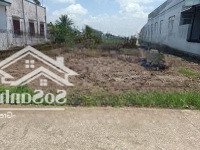 Hạ Giá Bán Mtđ Võ Việt Tân Tiền Giang, 120/ 700 Triệu, Shr.