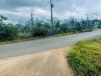 Đất Mặt Tiền Đường Nhựa Gần Nhà Máy Có Thể Làm Phòng Trọ Xã Suối Rao - Châu Đức - Brvt