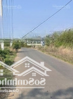 Đất Mặt Tiền Đường Nhựa Gần Nhà Máy Có Thể Làm Phòng Trọ Xã Suối Rao - Châu Đức - Brvt