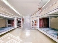 Cho Thuê Giường Ktx Bao Phí Có Thang Máy, Gần Cv Thỏ Trắng, Huflit, Ueh, Bách Khoa, Quận 10