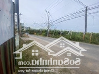 Cho Thuê 2500M2 Gồm 3 Căn Nhà Sạch Đẹp Mặt Tiền Đường 58 Nguyễn Gia Thiều, Nền Bê Tông 1000M2