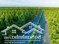 Lô Đất Thổ Cư Đường Xe Hơi , Lô Nhì Đường Lương Văn Nho Thị Trấn Cần Thạnh ,Diện Tích20X63 , Giá 20 Triệu/M2