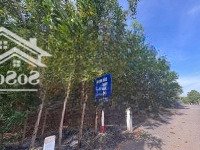 Chính Chủ Cần Bán Lô Đất Đẹp Tại Ấp 3, Hòa Hội, Mộc Xuyên Bà Rịa - Vũng Tàu