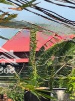 Chính Chủ Cần Bán Lô Đất Đẹp Tại Ấp 3, Hòa Hội, Mộc Xuyên Bà Rịa - Vũng Tàu